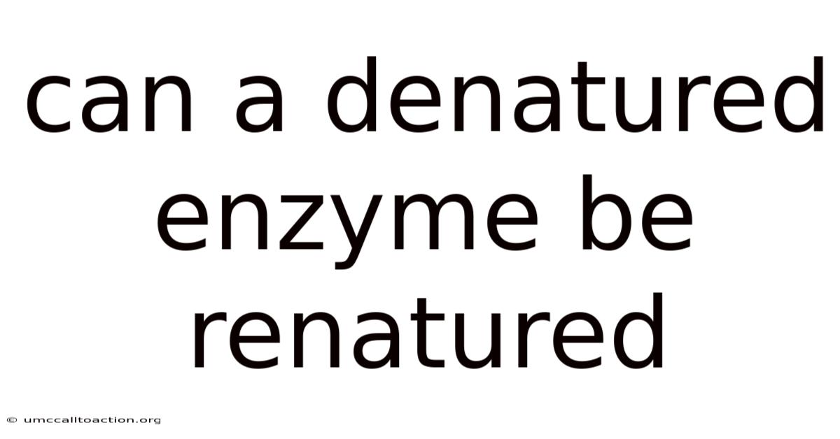 Can A Denatured Enzyme Be Renatured