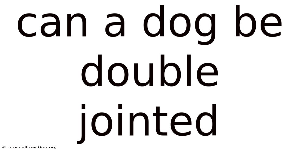 Can A Dog Be Double Jointed