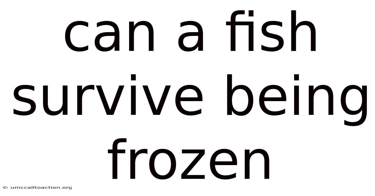 Can A Fish Survive Being Frozen