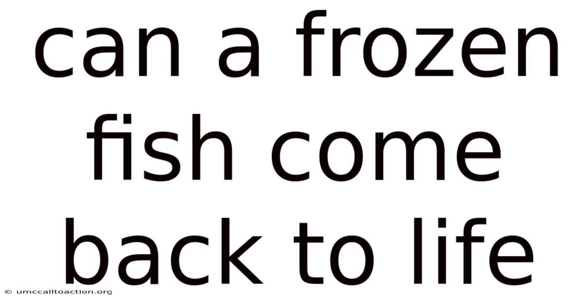 Can A Frozen Fish Come Back To Life