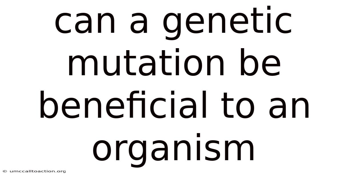 Can A Genetic Mutation Be Beneficial To An Organism
