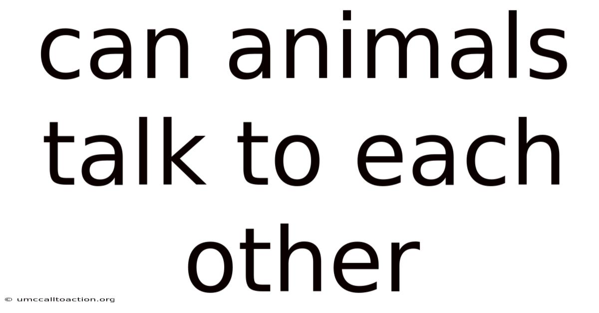 Can Animals Talk To Each Other