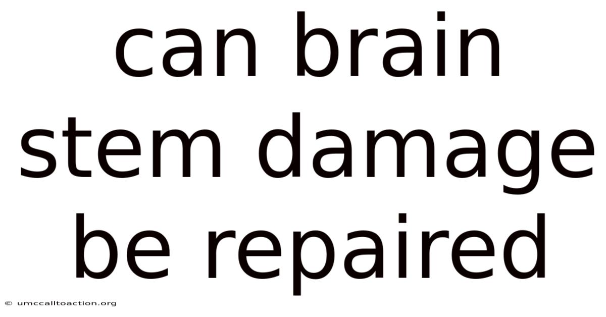 Can Brain Stem Damage Be Repaired