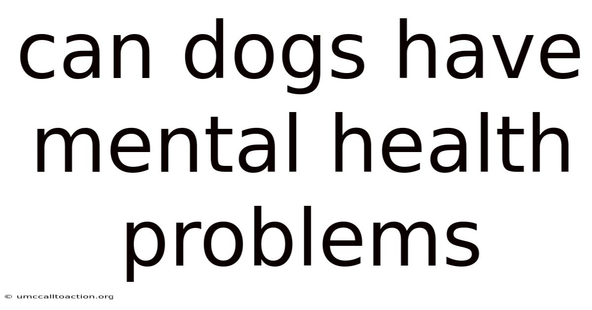 Can Dogs Have Mental Health Problems