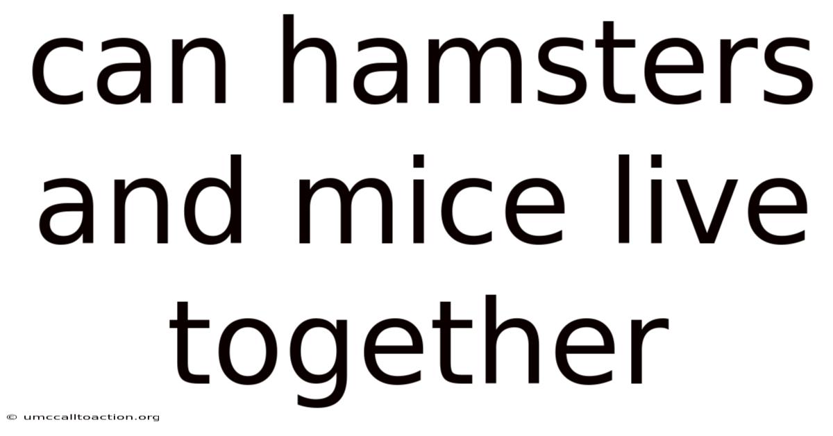 Can Hamsters And Mice Live Together