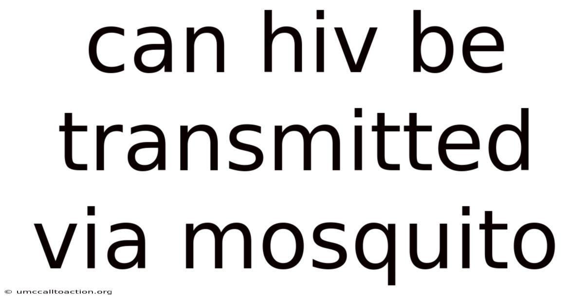 Can Hiv Be Transmitted Via Mosquito