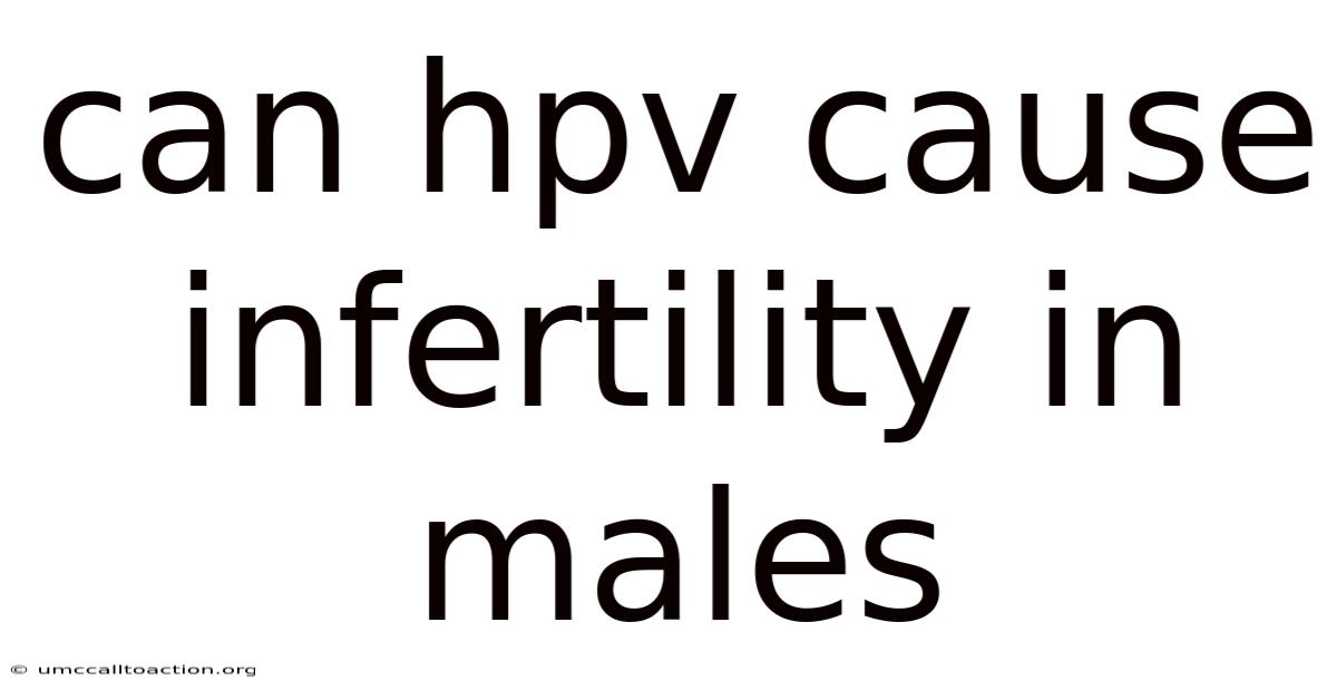 Can Hpv Cause Infertility In Males