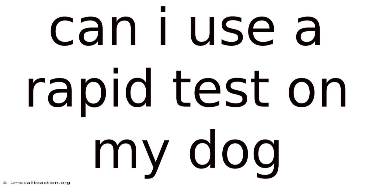 Can I Use A Rapid Test On My Dog
