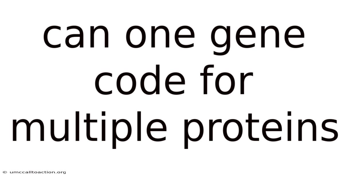 Can One Gene Code For Multiple Proteins