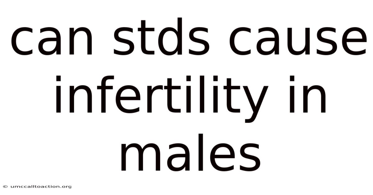 Can Stds Cause Infertility In Males