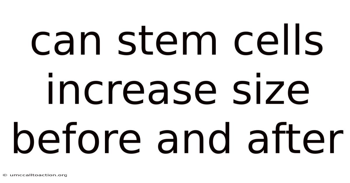 Can Stem Cells Increase Size Before And After