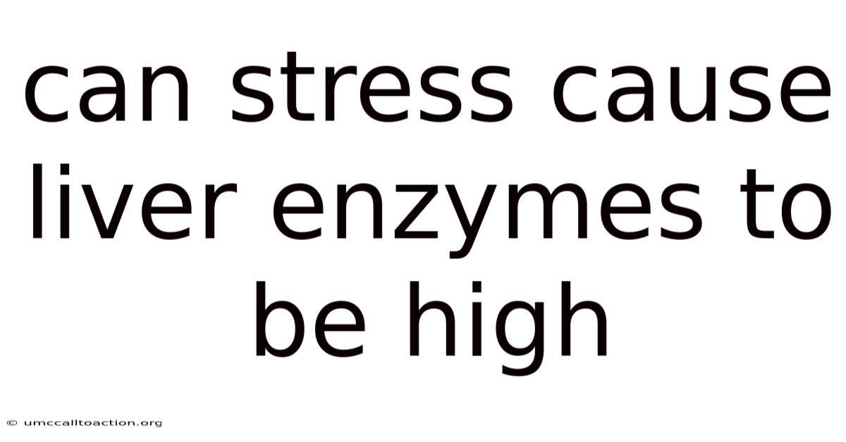Can Stress Cause Liver Enzymes To Be High