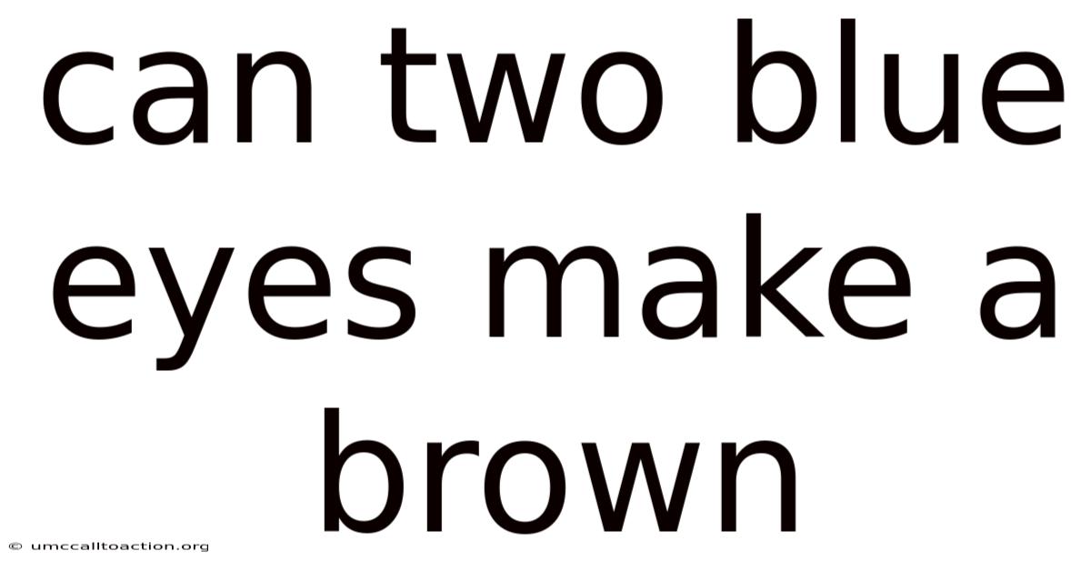 Can Two Blue Eyes Make A Brown