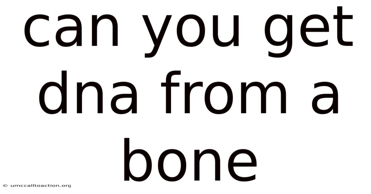 Can You Get Dna From A Bone