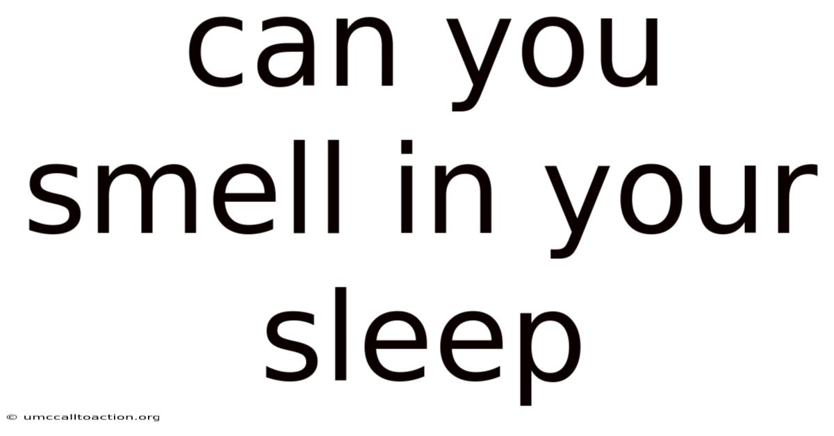 Can You Smell In Your Sleep