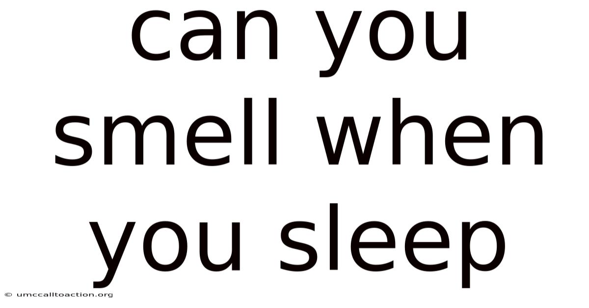 Can You Smell When You Sleep