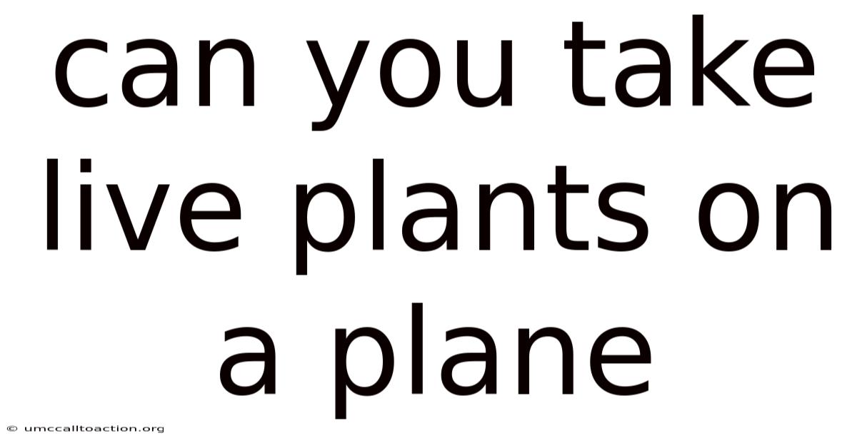 Can You Take Live Plants On A Plane