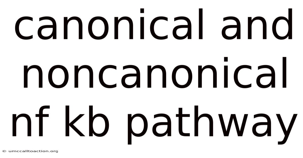 Canonical And Noncanonical Nf Kb Pathway