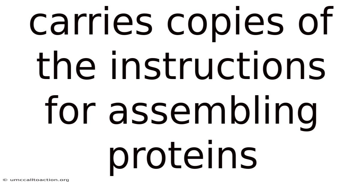 Carries Copies Of The Instructions For Assembling Proteins