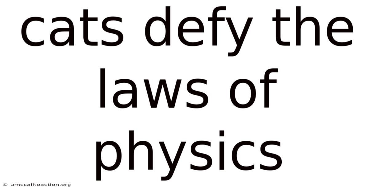 Cats Defy The Laws Of Physics