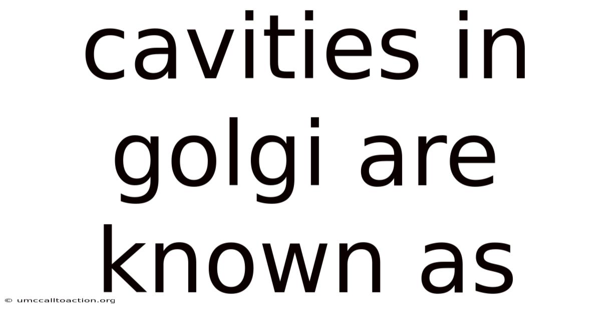 Cavities In Golgi Are Known As