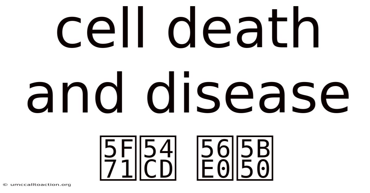 Cell Death And Disease 影响 因子