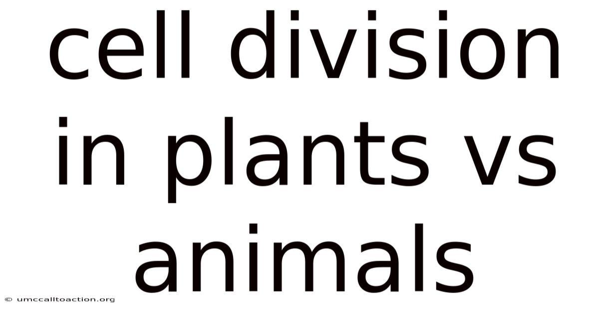 Cell Division In Plants Vs Animals
