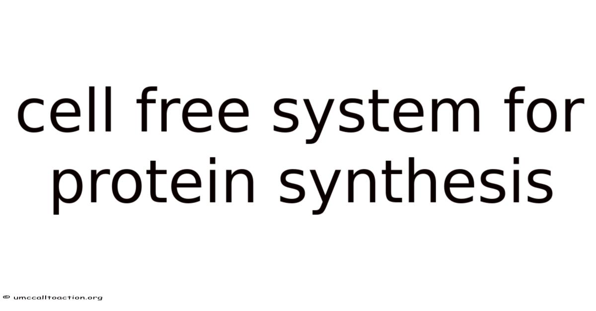 Cell Free System For Protein Synthesis