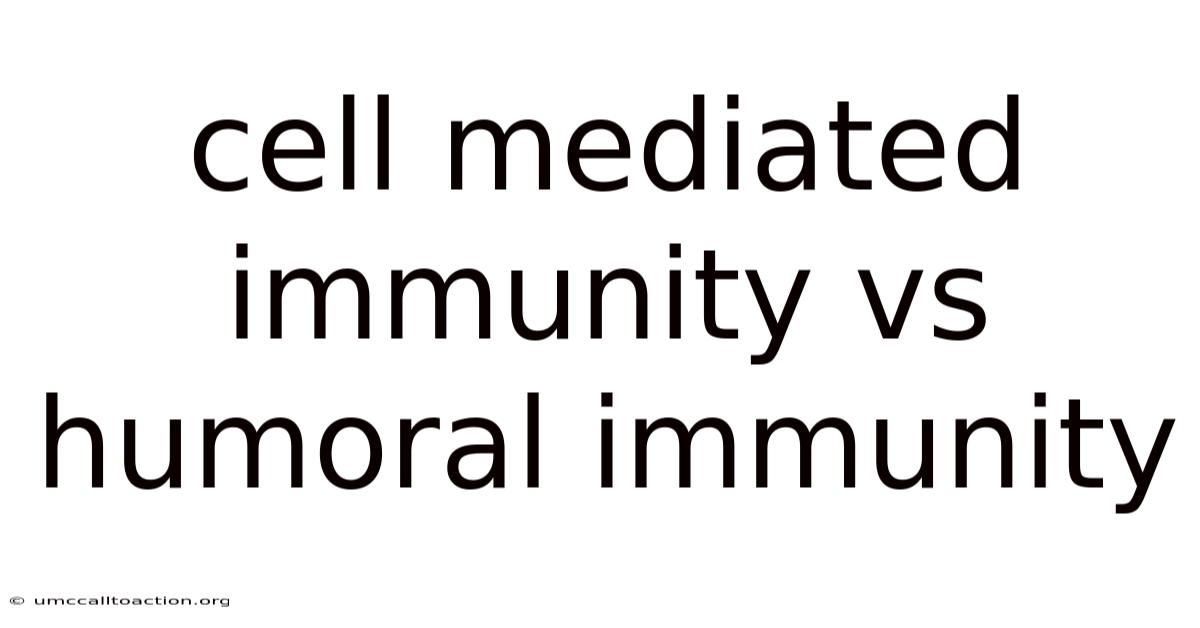 Cell Mediated Immunity Vs Humoral Immunity