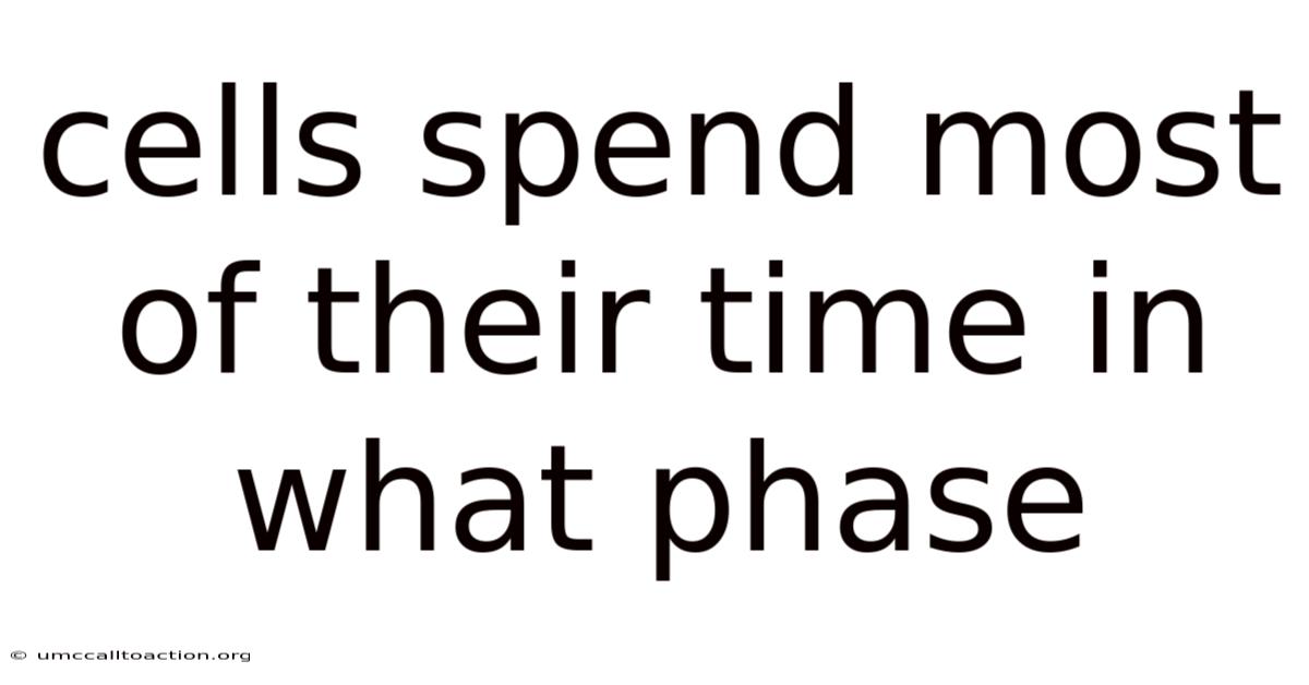 Cells Spend Most Of Their Time In What Phase