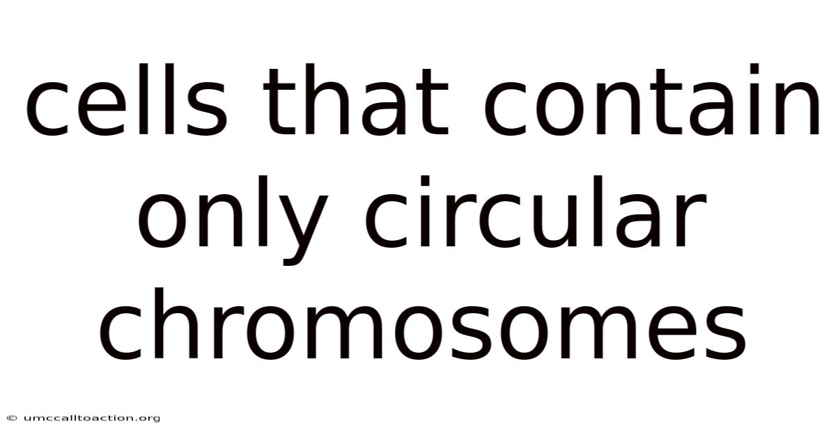 Cells That Contain Only Circular Chromosomes