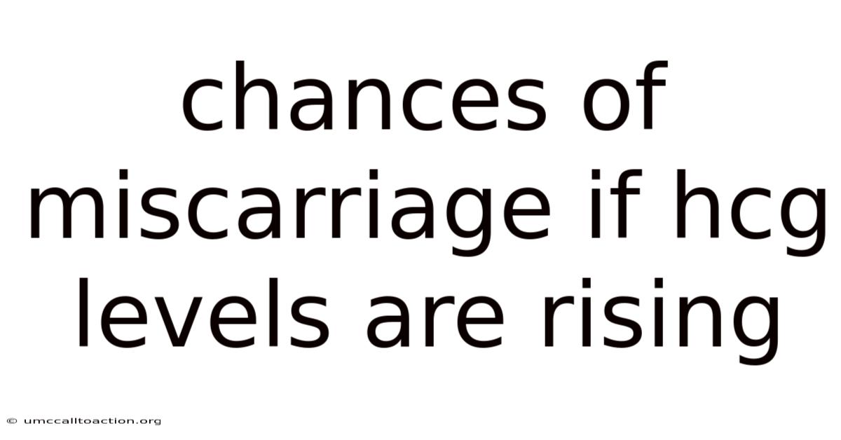 Chances Of Miscarriage If Hcg Levels Are Rising