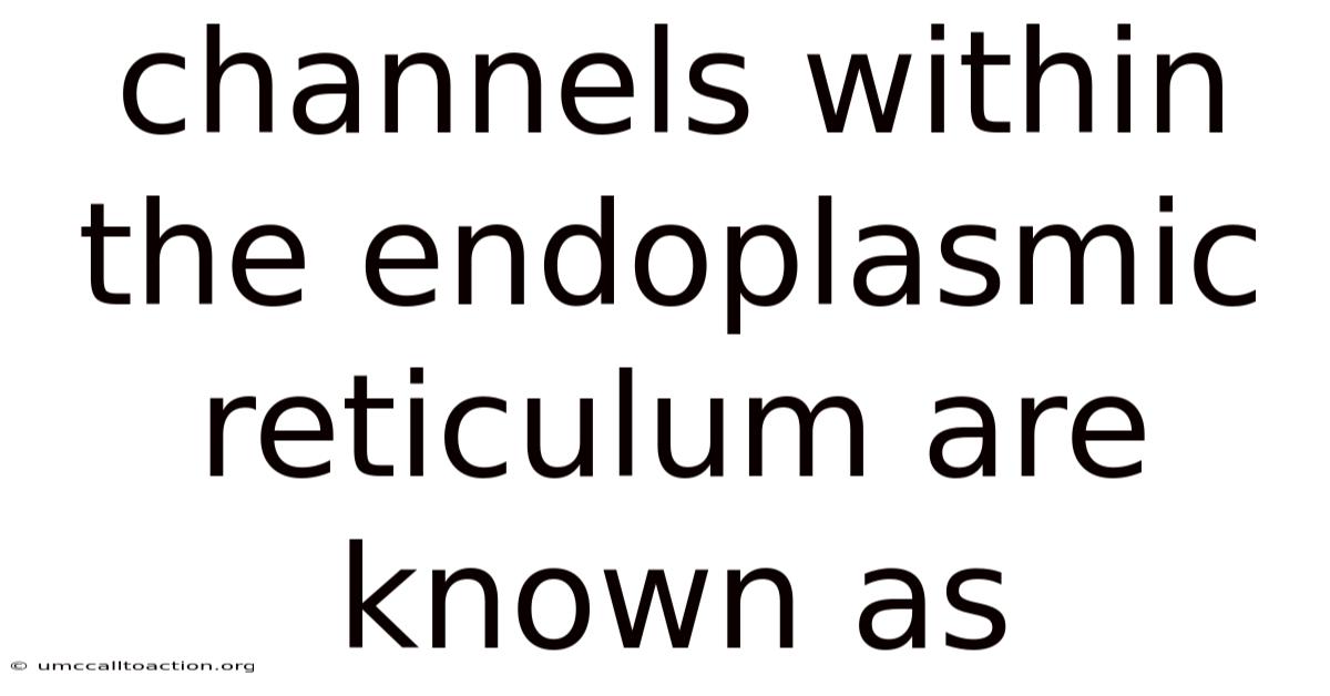 Channels Within The Endoplasmic Reticulum Are Known As