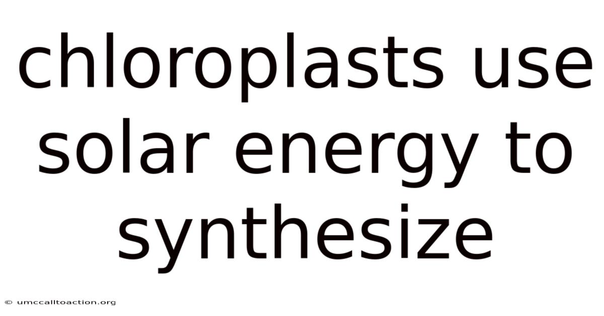 Chloroplasts Use Solar Energy To Synthesize