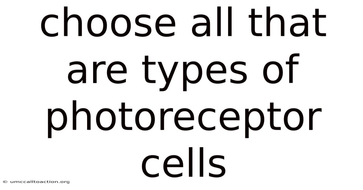 Choose All That Are Types Of Photoreceptor Cells