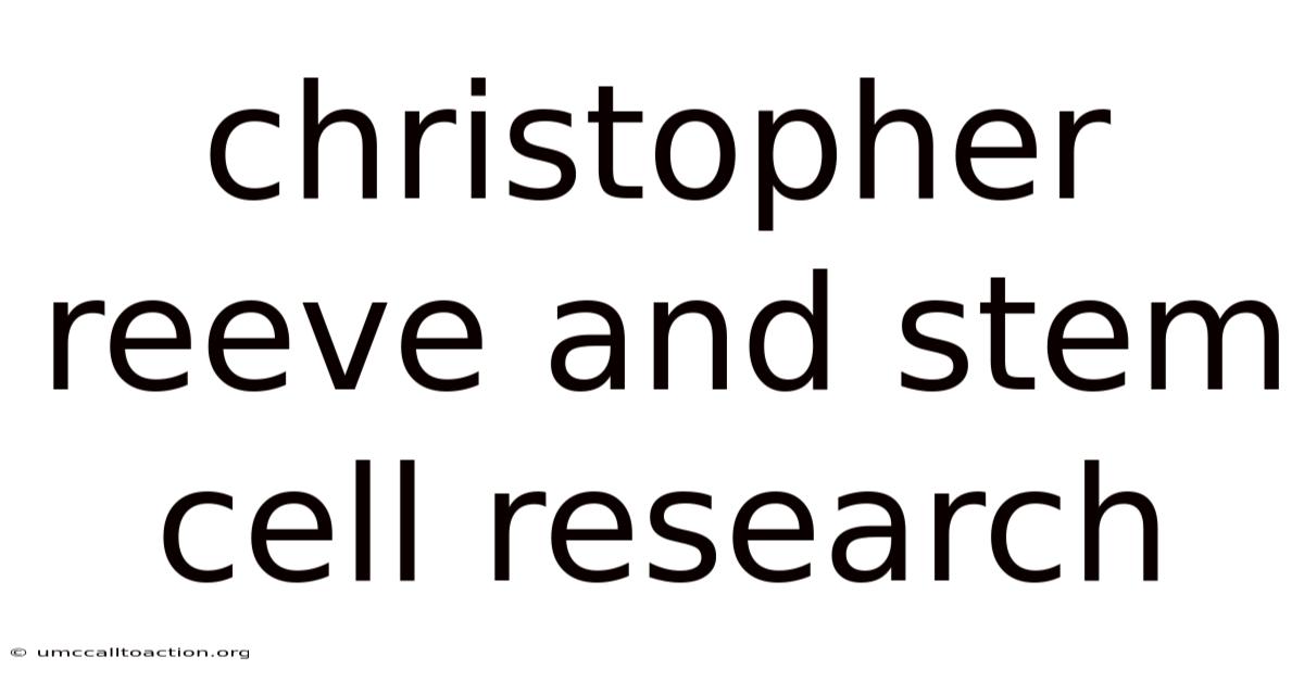 Christopher Reeve And Stem Cell Research