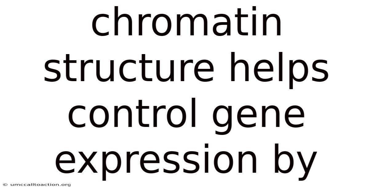 Chromatin Structure Helps Control Gene Expression By