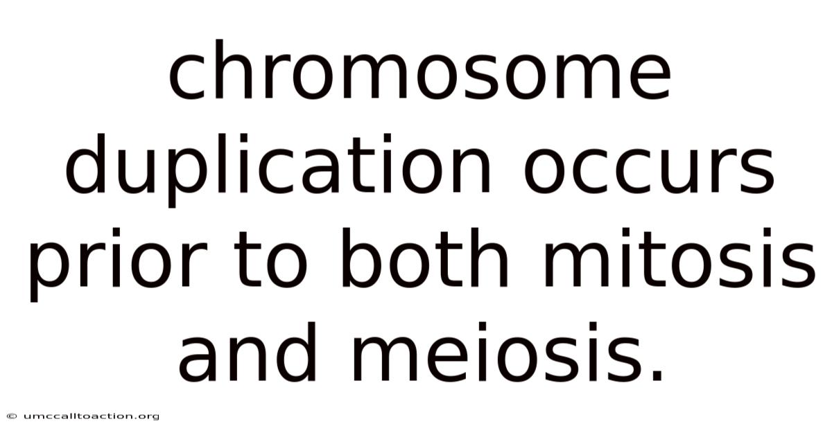 Chromosome Duplication Occurs Prior To Both Mitosis And Meiosis.