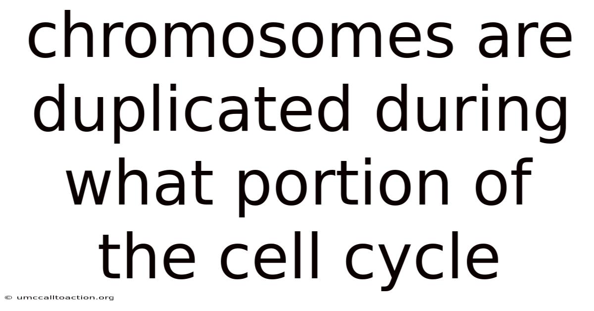 Chromosomes Are Duplicated During What Portion Of The Cell Cycle