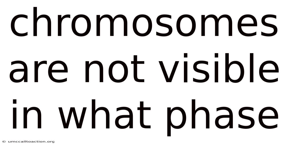 Chromosomes Are Not Visible In What Phase