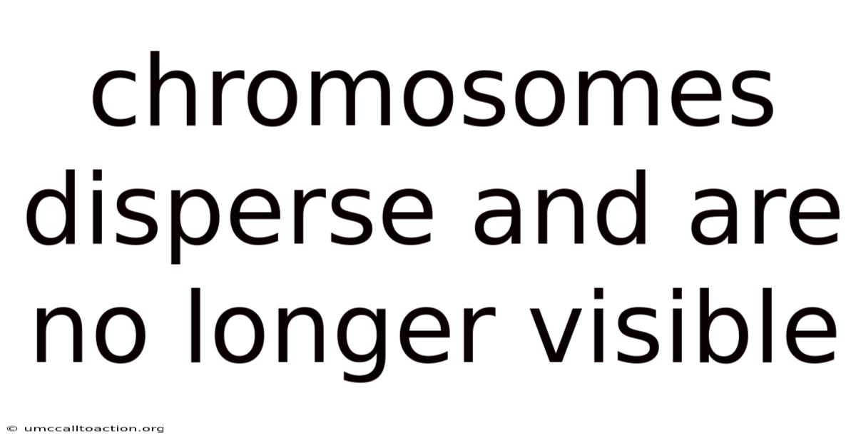 Chromosomes Disperse And Are No Longer Visible