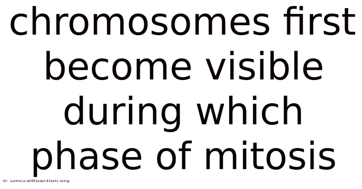 Chromosomes First Become Visible During Which Phase Of Mitosis