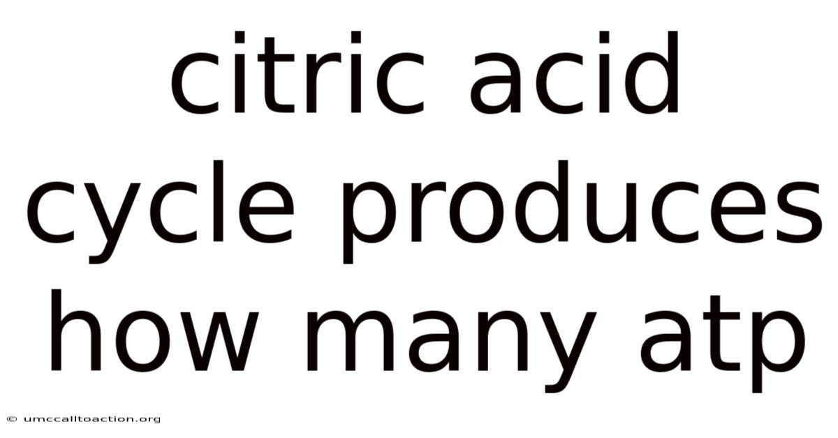 Citric Acid Cycle Produces How Many Atp