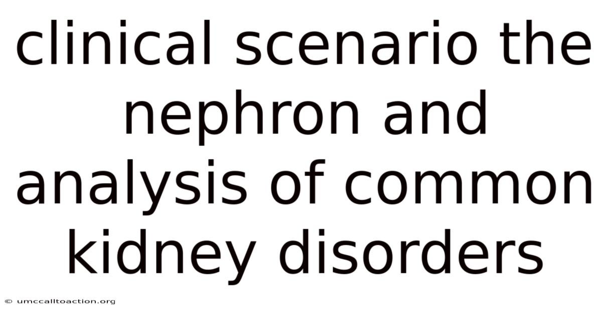 Clinical Scenario The Nephron And Analysis Of Common Kidney Disorders