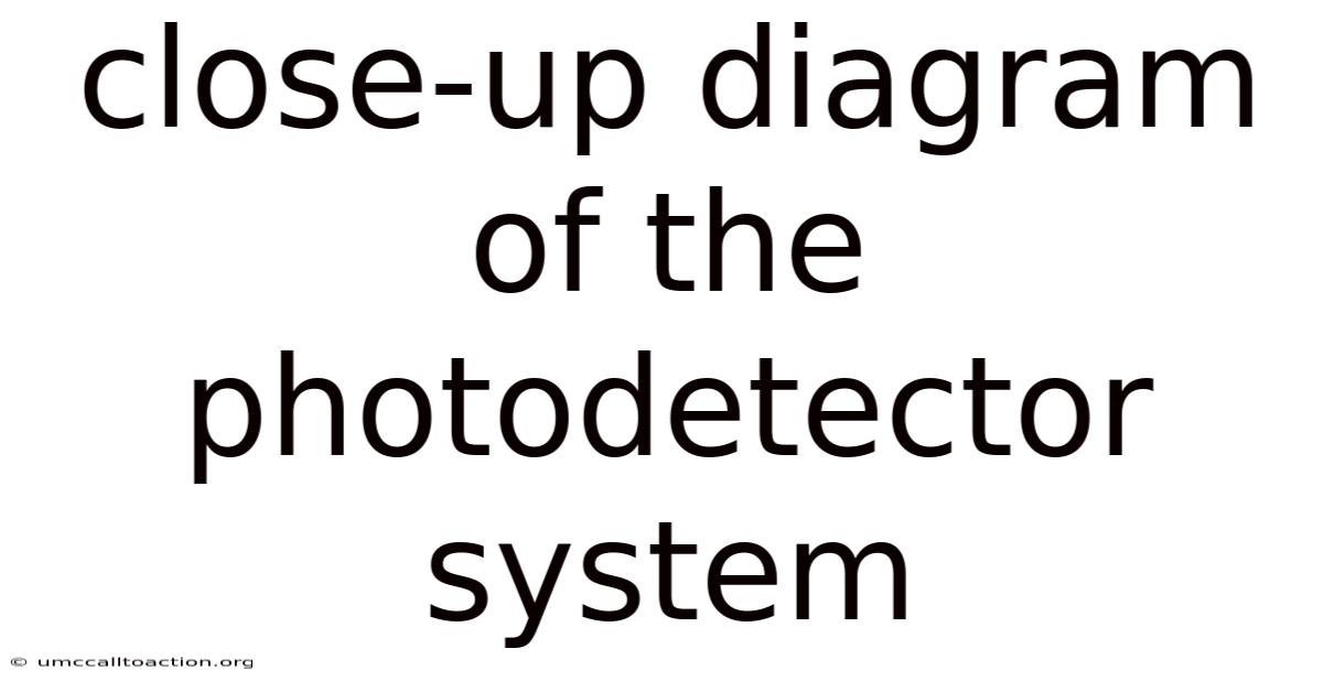 Close-up Diagram Of The Photodetector System