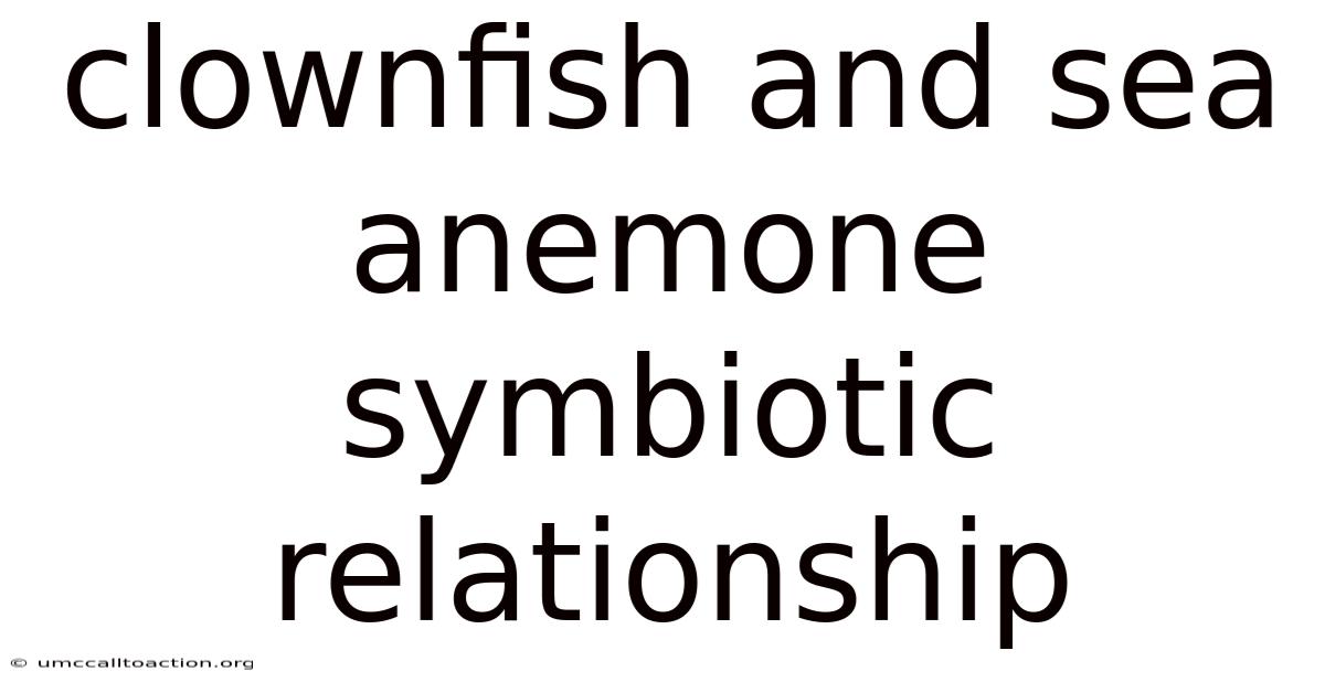 Clownfish And Sea Anemone Symbiotic Relationship