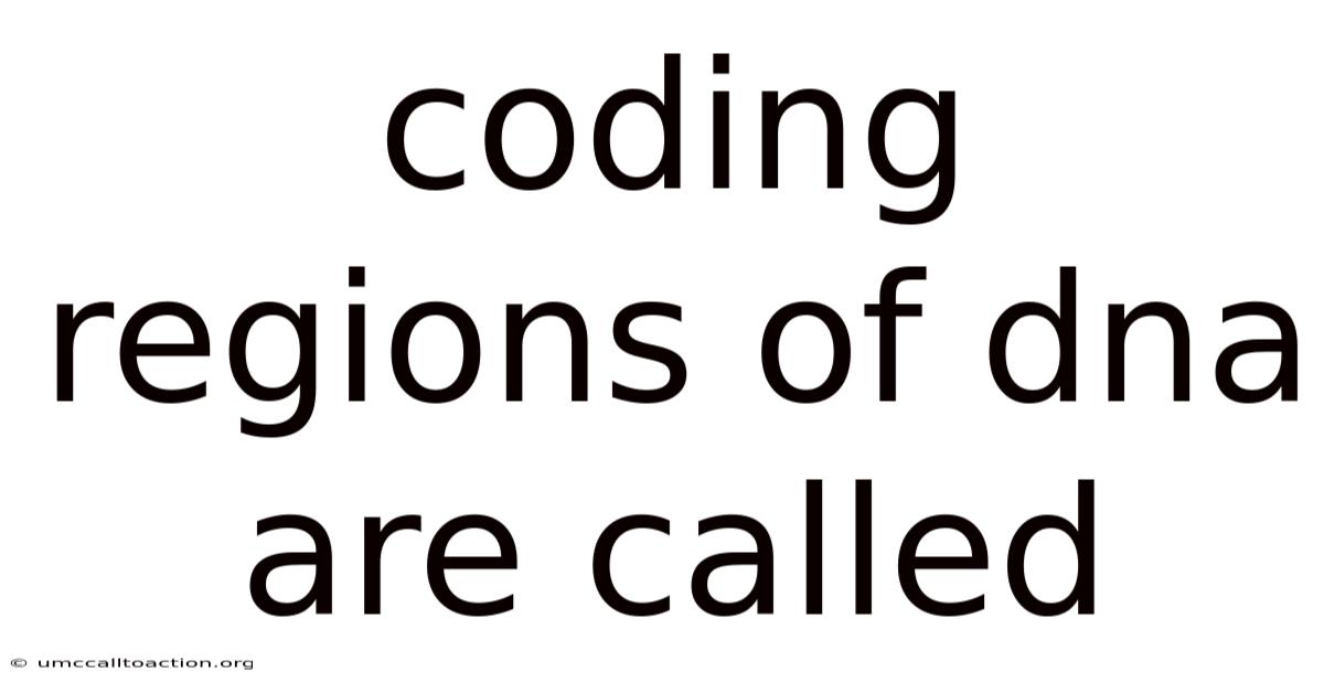 Coding Regions Of Dna Are Called