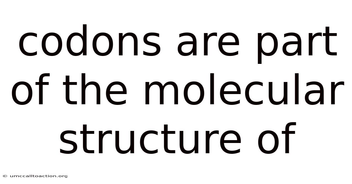 Codons Are Part Of The Molecular Structure Of