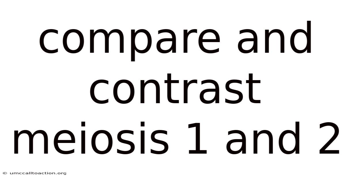 Compare And Contrast Meiosis 1 And 2