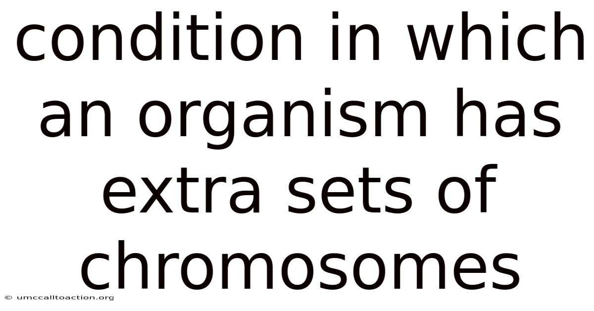 Condition In Which An Organism Has Extra Sets Of Chromosomes